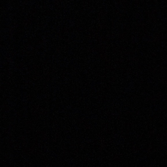 Meet your Posher, Bella - Picture 1 of 1